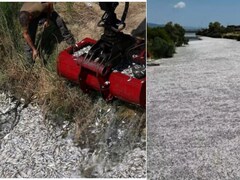 इस देश में मरी हुई मछलियों के कारण लगी इमरजेंसी, सोशल मीडिया पर वायरल हुए दिल दहला देने वाले VIDEO