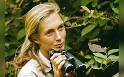 Jane Goodall, Conservationist Renowned For Environmental Advocacy, Dies At 91
