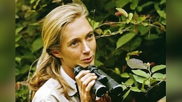 Jane Goodall, Conservationist Renowned For Environmental Advocacy, Dies At 91