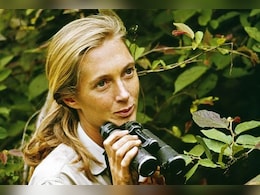 Jane Goodall, Conservationist Renowned For Environmental Advocacy, Dies At 91