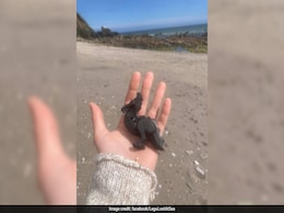 27 Years After The Great Lego Spill, Toy Pieces Still Washing Up On Beaches 27 Years After The Great Lego Spill, Toy Pieces Still Washing Up On Beaches