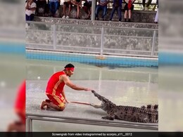 मगरमच्छ के जबड़े में हाथ डालकर स्टंट कर रहा था शख्स, अगले ही पल जो हुआ उसे देख पब्लिक की निकल गई चीखें मगरमच्छ के जबड़े में हाथ डालकर स्टंट कर रहा था शख्स, अगले ही पल जो हुआ उसे देख पब्लिक की निकल गई चीखें