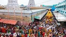 "What's Wrong With That?" Supreme Court Relief For CBI In Tirupati Laddoo Row
