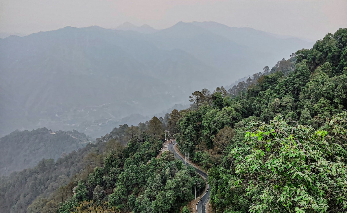 Latest and Breaking News on NDTV Latest and Breaking News on NDTV