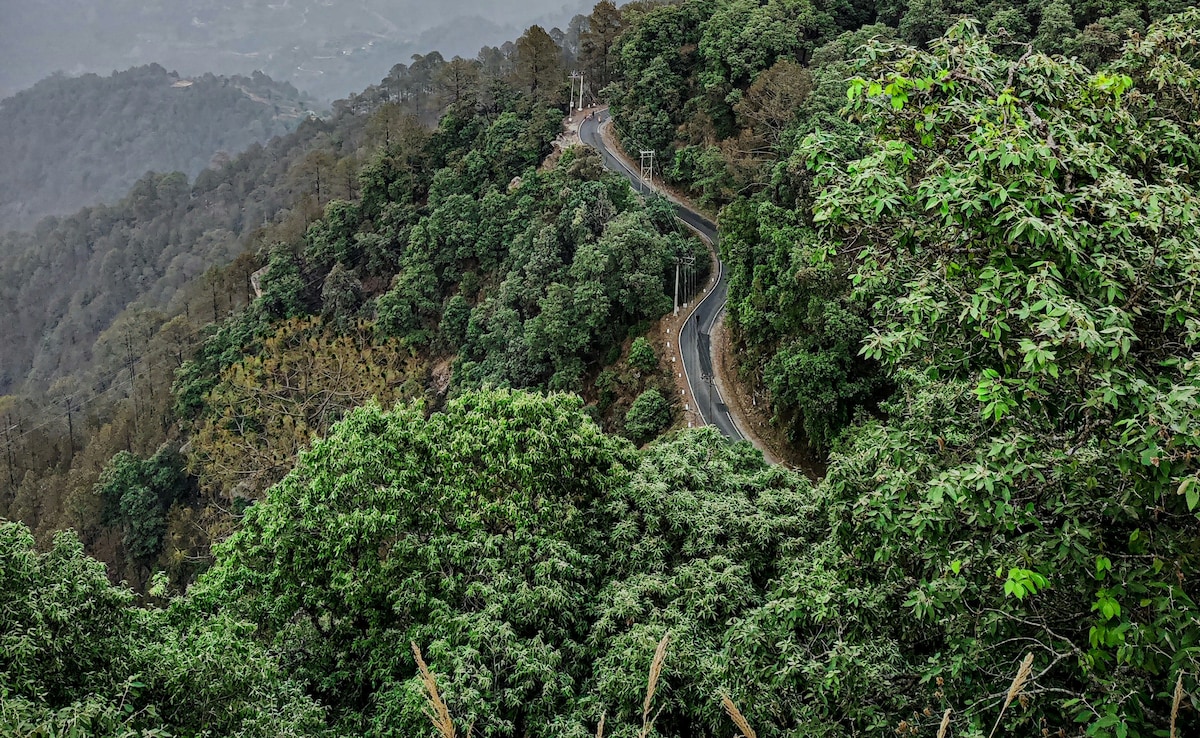 Add image caption here Add image caption here