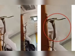 गरीब रथ एक्सप्रेस के AC कोच में निकला सांप, देख डर से यात्रियों की निकल गईं चीखें, लोग बोले- ट्रेन है या जू गरीब रथ एक्सप्रेस के AC कोच में निकला सांप, देख डर से यात्रियों की निकल गईं चीखें, लोग बोले- ट्रेन है या जू