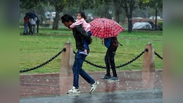 Rain Update : आजही राज्यात मुसळधार पावसाचा अंदाज, 'या' जिल्ह्यांना रेड अलर्ट