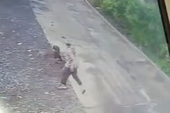 Video: Jackal Attacks 2 Men In Madhya Pradesh, They Toss It 15 Feet Away Video: Jackal Attacks 2 Men In Madhya Pradesh, They Toss It 15 Feet Away