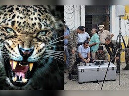 उदयपुर में 'आदमखोर' तेंदुए का आतंक, 2 दिन में 3 लोगों की जा चुकी है जान; सर्च ऑपरेशन जारी