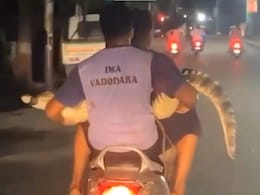 Video: Vadodara Animal Rescuers Tripling On Scooter - With A Crocodile