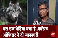 Bahraich Wolf Attack: भेड़ियों का आतंक खत्म करने के लिए प्रयास जारी, Divisional Forest Officer ने दी जानकारी Bahraich Wolf Attack: भेड़ियों का आतंक खत्म करने के लिए प्रयास जारी, Divisional Forest Officer ने दी जानकारी