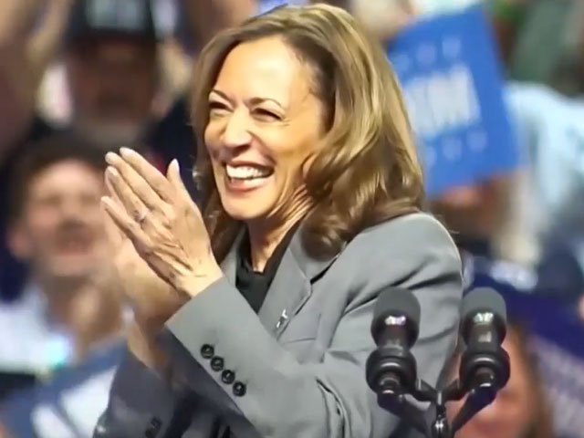 Kamala Harris's Rally In Madison Draws Huge Crowd