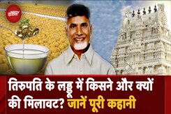 Tirupati Laddu Controversy: प्रसाद में मिलावट, किसने और क्यों की? जानिए जांच Report का पूरा सच Tirupati Laddu Controversy: प्रसाद में मिलावट, किसने और क्यों की? जानिए जांच Report का पूरा सच