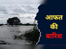 MP में बारिश ने बरपाया कहर! ग्वालियर में 17 लोगों और सौ पशुओं की मौत, सोमवार तक के लिए स्कूल बंद  MP में बारिश ने बरपाया कहर! ग्वालियर में 17 लोगों और सौ पशुओं की मौत, सोमवार तक के लिए स्कूल बंद