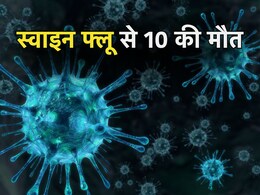 बिलासपुर में जानलेवा हुआ स्वाइन फ्लू: अब तक 10 की मौत, 144 पॉजिटिव; कांग्रेस ने सरकार पर साधा निशाना- 'CIMS क्यों है बीमार' बिलासपुर में जानलेवा हुआ स्वाइन फ्लू: अब तक 10 की मौत, 144 पॉजिटिव; कांग्रेस ने सरकार पर साधा निशाना- 'CIMS क्यों है बीमार'