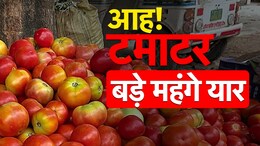 Tomato Price Hike: महंगाई ने निकाले आंसू, MP में सेब से भी महंगा बिक रहा टमाटर और गोभी