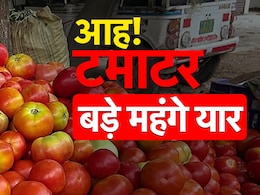 टमाटर क्यों हो रहे हो इतने लाल? केंद्र सरकार सतर्क, बेच सकती है प्याज की तरह टमाटर क्यों हो रहे हो इतने लाल? केंद्र सरकार सतर्क, बेच सकती है प्याज की तरह