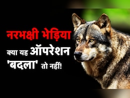 क्या अपने बच्चों की मौत का बदला ले रहे हैं भेड़िये? जानिए एक्सपर्ट ने क्या कहा क्या अपने बच्चों की मौत का बदला ले रहे हैं भेड़िये? जानिए एक्सपर्ट ने क्या कहा