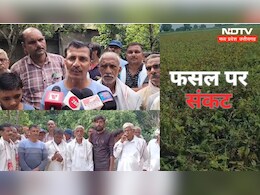 MP में सोयाबीन, कपास, प्याज और मक्का की फसलों पर संकट ! खंडवा में बढ़ी चिंता MP में सोयाबीन, कपास, प्याज और मक्का की फसलों पर संकट ! खंडवा में बढ़ी चिंता