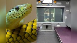 Snake in Train: ट्रेन के AC-A1 कोच में निकला सांप, दयोदय एक्सप्रेस को कोटा में 2 घंटे रोका&nbsp;