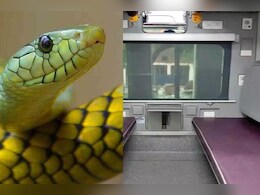 Snake in Train: ट्रेन के AC-A1 कोच में निकला सांप, दयोदय एक्सप्रेस को कोटा में 2 घंटे रोका 