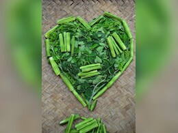 Moringa health benefits : वेट मैनेजमेंट के लिए ऐसे खाएं मोरिंगा, कभी नहीं जमेगा शरीर में बैड फैट Moringa health benefits : वेट मैनेजमेंट के लिए ऐसे खाएं मोरिंगा, कभी नहीं जमेगा शरीर में बैड फैट