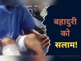 MP: भालुओं ने नोंच डाला, फिर भी नहीं मानी हार, लाठी के सहारे भिड़ता रहा बुजुर्ग 