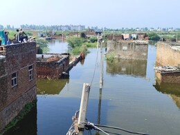 4 फीट पानी में डूबी भरतपुर की ये कॉलोनी, सांप-कीड़ों के डर से पलायन को मजबूर लोग 4 फीट पानी में डूबी भरतपुर की ये कॉलोनी, सांप-कीड़ों के डर से पलायन को मजबूर लोग