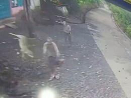 Video: Jackal Attacks 2 Men In Madhya Pradesh, They Toss It 15 Feet Away Video: Jackal Attacks 2 Men In Madhya Pradesh, They Toss It 15 Feet Away