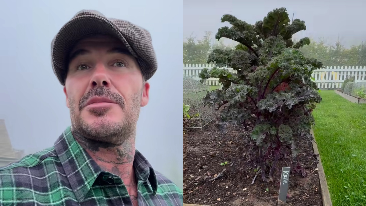 "Living The Country Life" - How Instagram Reacted To David Beckham Viral Farm Video