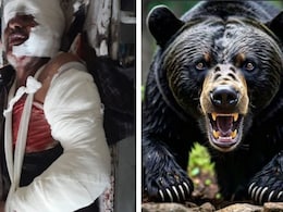 तेदुएं के बाद अब राजस्थान में भालू का आंतक, घर लौट रहे शख्स पर किया हमला; जयपुर रेफर