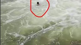 Watch: 'छलांग लगा दो...' पार्वती नदी में नहाते वक्त 2 युवकों की डूबने से मौत, सामने आया डरा देने वाला वीडियो