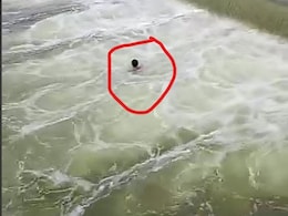 Watch: 'छलांग लगा दो...' पार्वती नदी में नहाते वक्त 2 युवकों की डूबने से मौत, सामने आया डरा देने वाला वीडियो