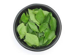 Uric acid reduce tips : इन 3 पत्तों का रस बढ़े हुए यूरिक एसिड को छानकर कर देगा बाहर Uric acid reduce tips : इन 3 पत्तों का रस बढ़े हुए यूरिक एसिड को छानकर कर देगा बाहर