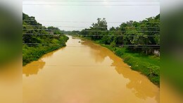 छत्तीसगढ़ में हसदेव और हसिया नदी के वजूद पर 'खतरा'! बचाव के लिए क्यों नहीं हो रहा कोई काम?