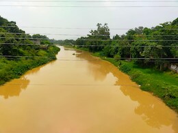 छत्तीसगढ़ में हसदेव और हसिया नदी के वजूद पर 'खतरा'! बचाव के लिए क्यों नहीं हो रहा कोई काम?