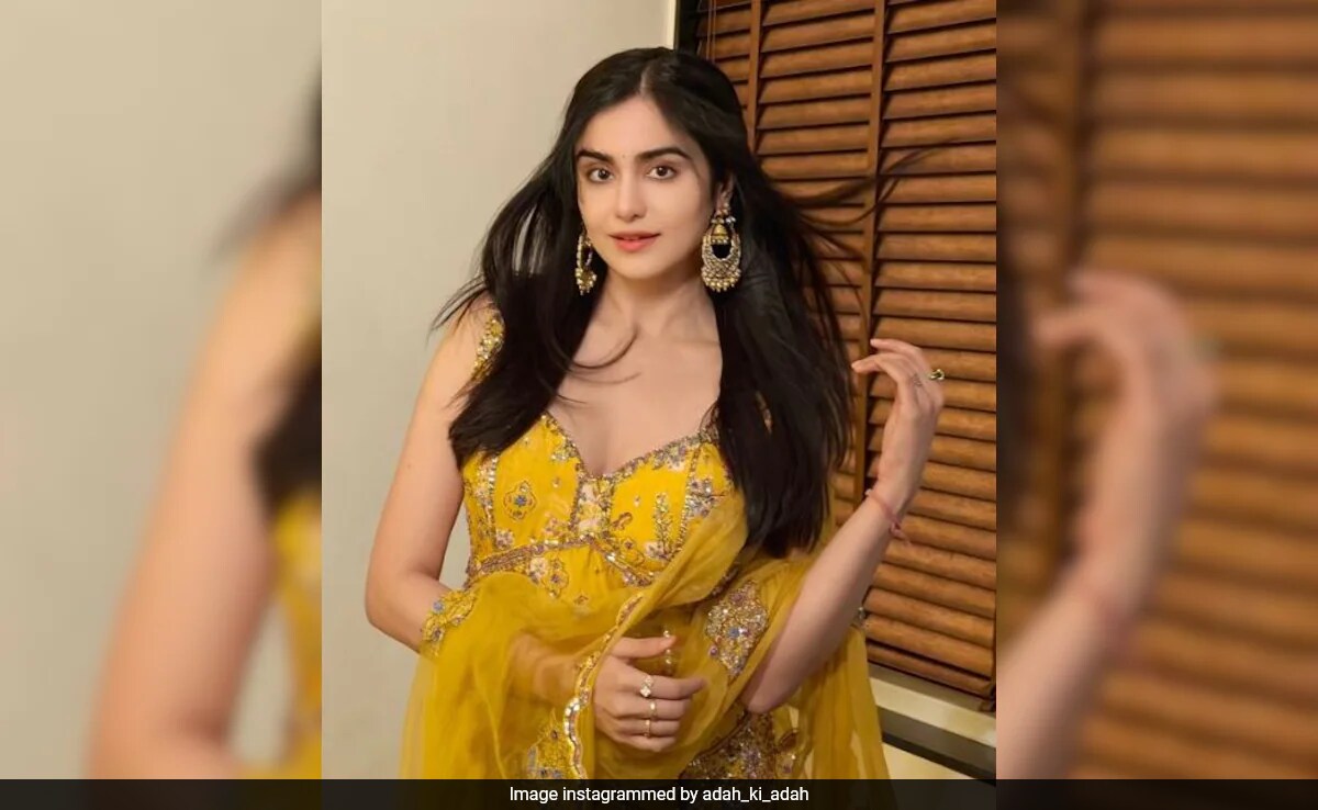 NDTV Exclusive: Adah Sharma's Big Comment - "Nepotism Rocks And Is Also A Huge Rock"