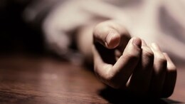 Rajasthan: 'एक बच्चा सोता तो दूसरा रोता' जुड़वा बेटों की देखभाल करने से परेशान मां ने की दोनों की हत्या; फिर खुद खाया जहर