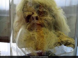 Frozen In Terror: Extremely Well-Preserved Ancient Mummies Found In Iran Frozen In Terror: Extremely Well-Preserved Ancient Mummies Found In Iran