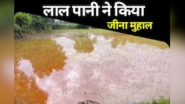 एक तरफ 'लाल पानी' ने छीन ली किसानी, तो दूसरी तरफ पेलेट प्लांट में नहीं मिली स्थाई नौकरी... कैसे होगा जीवन बसर
