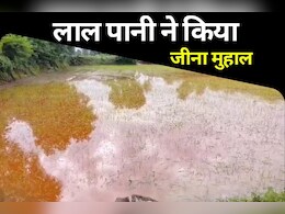 एक तरफ 'लाल पानी' ने छीन ली किसानी, तो दूसरी तरफ पेलेट प्लांट में नहीं मिली स्थाई नौकरी... कैसे होगा जीवन बसर