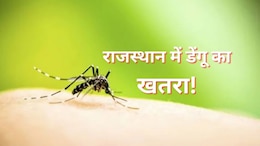 राजस्थान में पनप रहा है डेंगू का खतरा, 15 दिनों में 700 से अधिक मामले, दो जिलों में सबसे ज्यादा खतरा