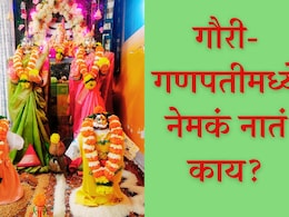 Gauri ganpati 2024 : आई की बहीण, गौरी-गणपतीमध्ये नेमकं नातं काय? Gauri ganpati 2024 : आई की बहीण, गौरी-गणपतीमध्ये नेमकं नातं काय?