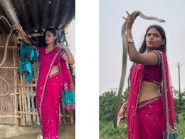 गुलाबी साड़ी पहनी इस महिला ने किया घर में छिपे 'रैट स्नेक' का रेस्क्यू, देख हिम्मत और खूबसूरती की कायल हुई पब्लिक गुलाबी साड़ी पहनी इस महिला ने किया घर में छिपे 'रैट स्नेक' का रेस्क्यू, देख हिम्मत और खूबसूरती की कायल हुई पब्लिक