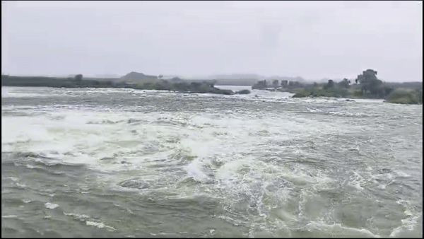 Rajasthan Weather: भारी बारिश से जयपुर-बूंदी में बिगड़े हालात, अगले 3 घंटे इन जिलों के लिए भारी; पढ़ें IMD अपडेट