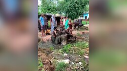 हद हो गई ! आपसी लड़ाई में शख्स को गोबर में फेंका, दफनाने का Video हुआ वायरल