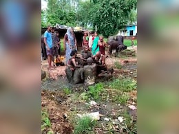 हद हो गई ! आपसी लड़ाई में शख्स को गोबर में फेंका, दफनाने का Video हुआ वायरल हद हो गई ! आपसी लड़ाई में शख्स को गोबर में फेंका, दफनाने का Video हुआ वायरल