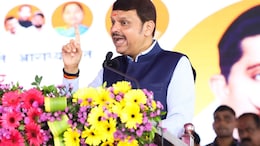 Woman Vandalises Devendra Fadnavis' Nameplate Outside His Office In Secretariat