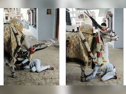 पहले मारी टक्कर फिर भक्त पर बरसाई कृपा, शिव के नंदी बैल का यह वीडियो देख बोले लोग- ये तो चमत्कार है पहले मारी टक्कर फिर भक्त पर बरसाई कृपा, शिव के नंदी बैल का यह वीडियो देख बोले लोग- ये तो चमत्कार है