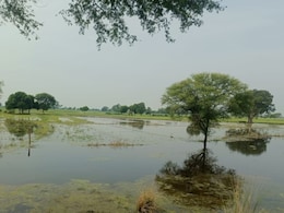 Rain In Rajasthan: राजस्थान में बारिश ने मचाई तबाही, धौलपुर में खरीफ की फसल हुई पूरी तरह चौपट Rain In Rajasthan: राजस्थान में बारिश ने मचाई तबाही, धौलपुर में खरीफ की फसल हुई पूरी तरह चौपट